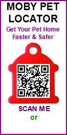 QR CODE DOG TAG